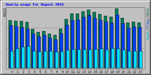 Hourly usage for August 2018